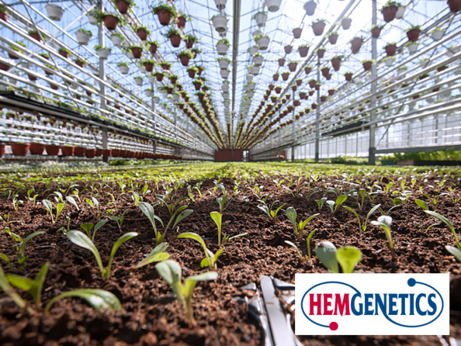 1995 - Hem Genetics BV wordt opgericht. <br>