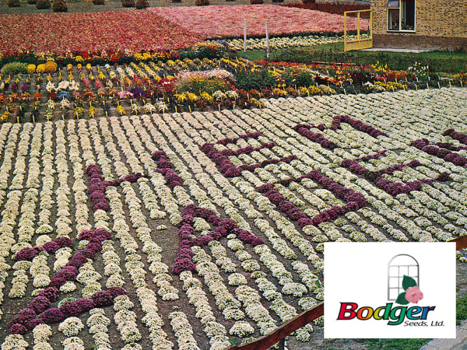 2009 - Hem Zaden verwierf alle OP-bloemzaadvariëteiten en verkoopactiviteiten van Bodger Seeds Ltd., U.S.A. <br>